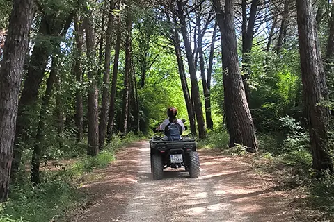 Quad Rovinj adventures